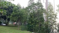 The Esparis (D18), Condominium #93027522